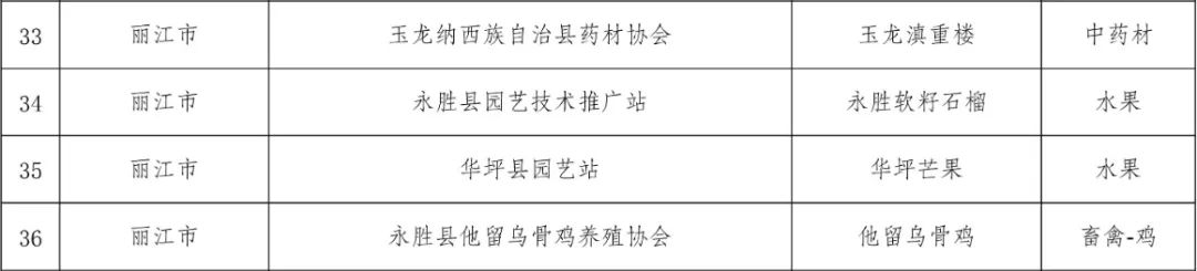 丽江日报