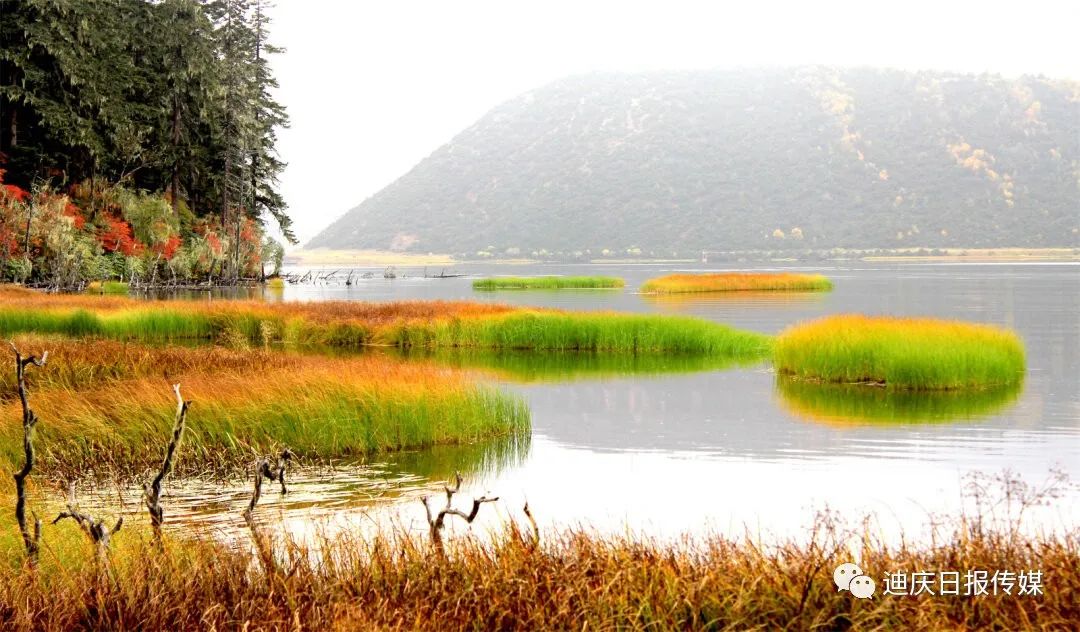 迪庆日报传媒