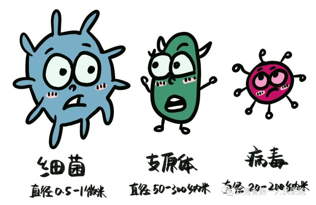 云南省第一人民医院