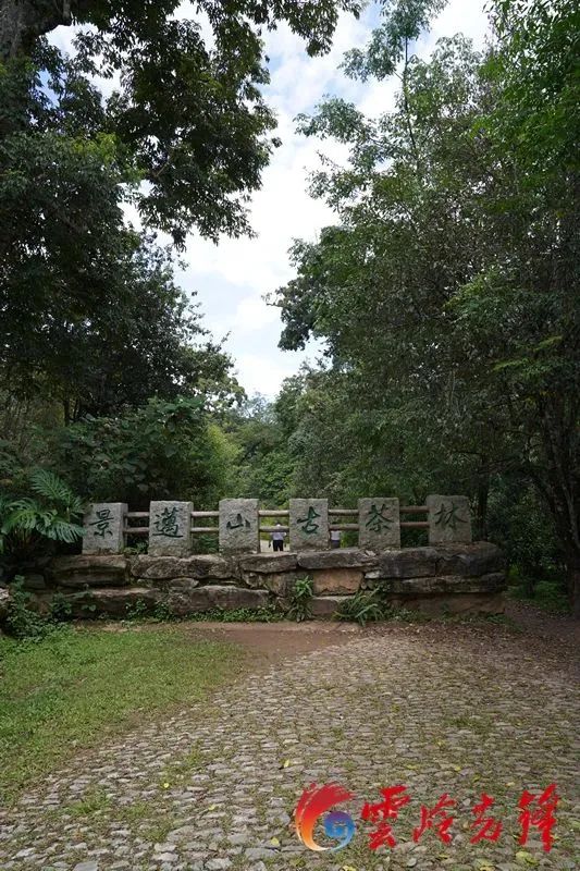 云岭先峰