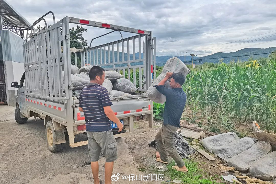 湾甸：废旧农膜回收显成效