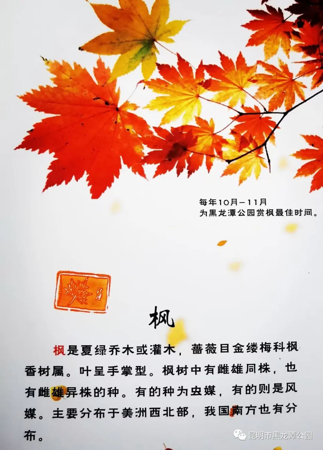 昆明市黑龙潭公园