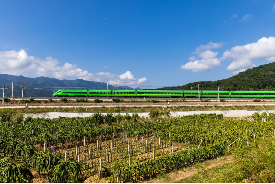 918云南交通台