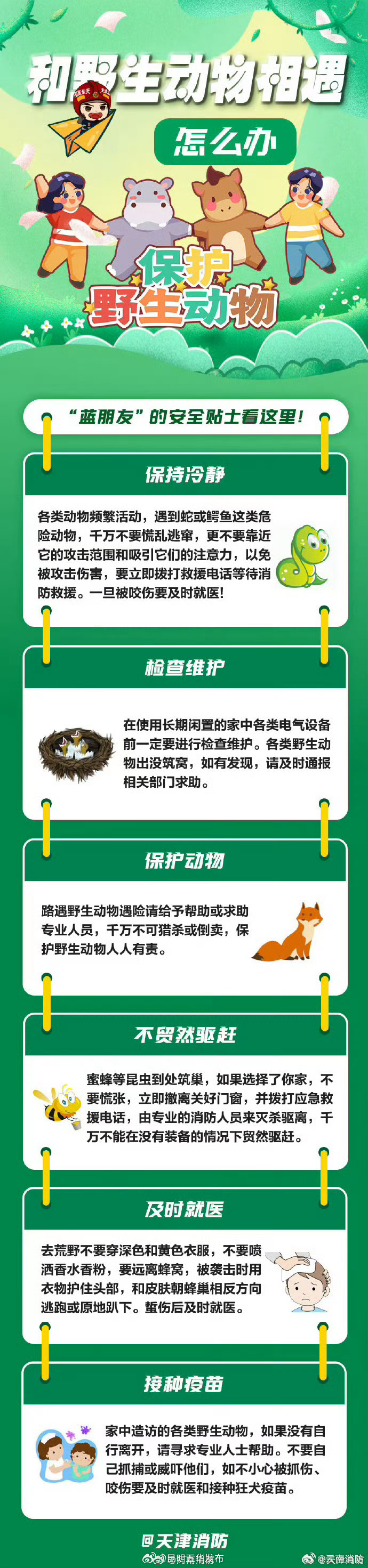 与野生动物相遇的那些事