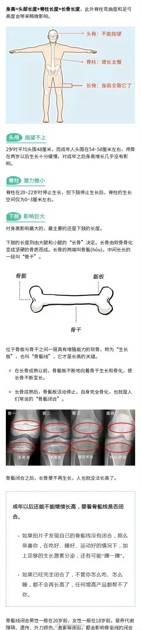成年人还能长高吗?