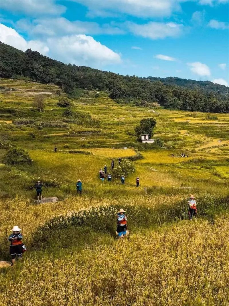 红河文旅
