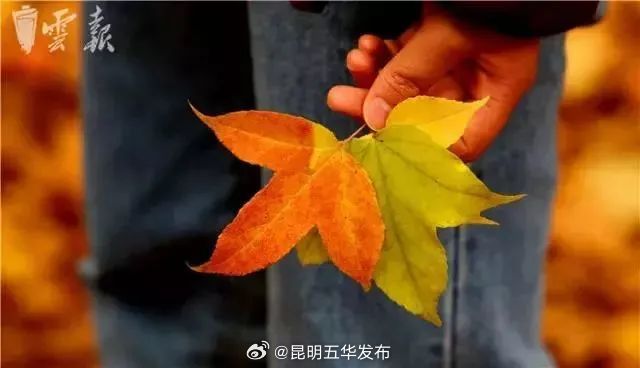 昆明五华发布