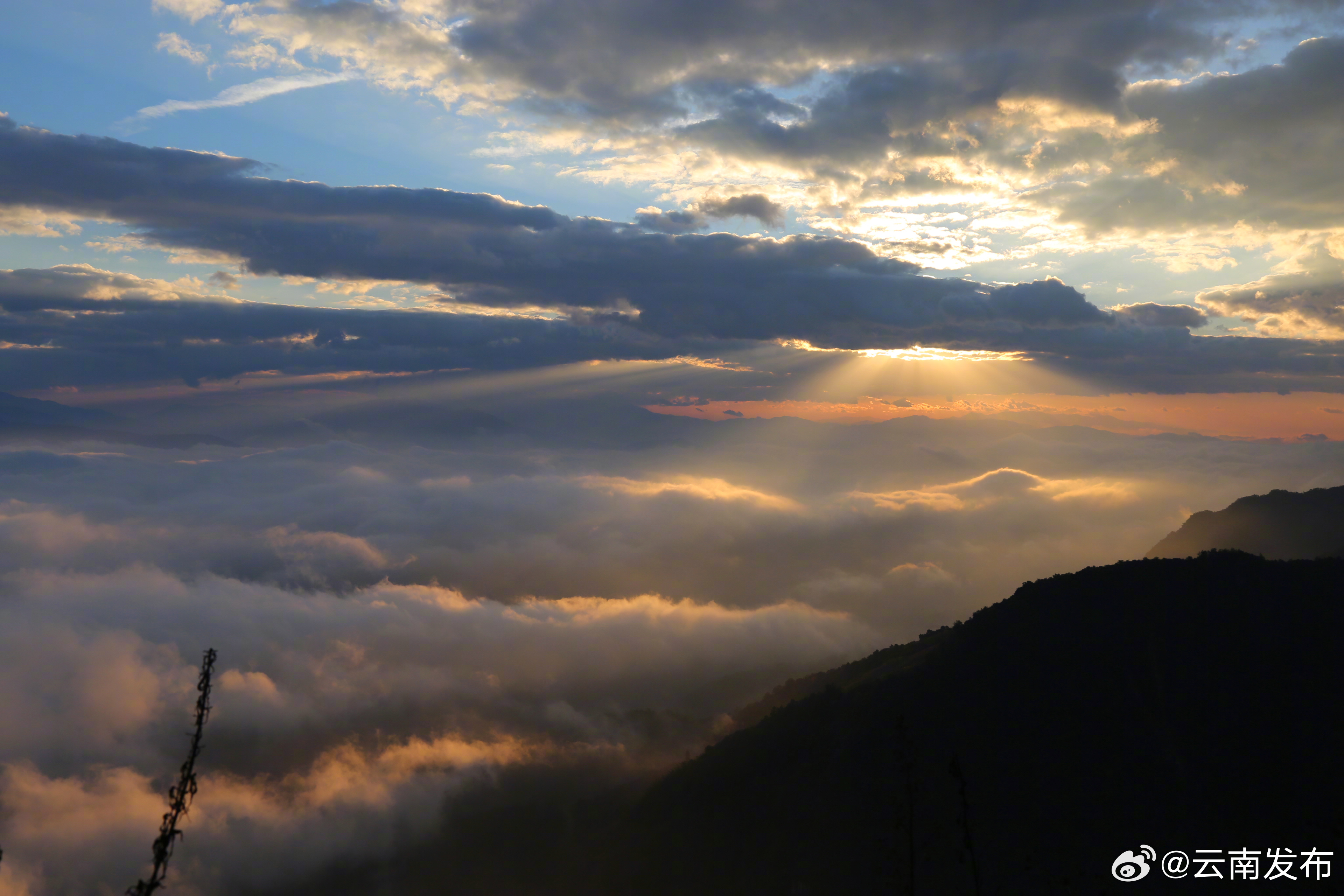 云南发布