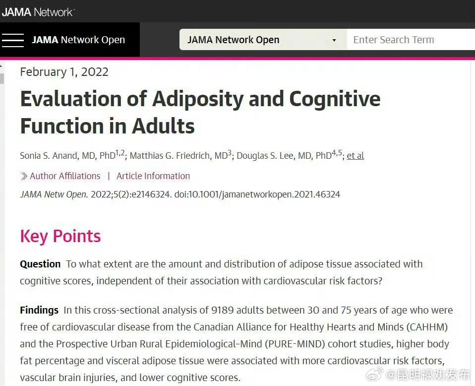 肚子胖的人脑子可能更笨