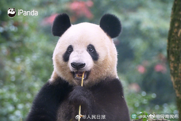 云南发布