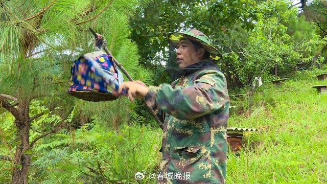 春城晚报