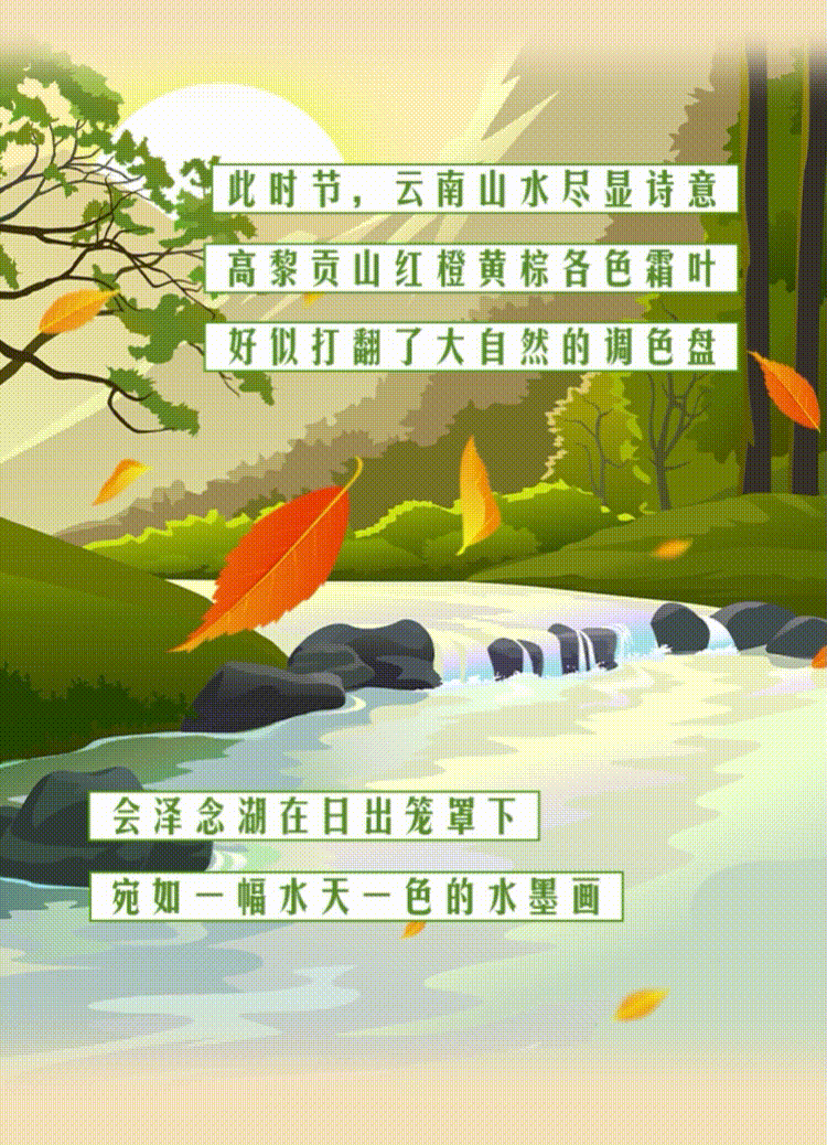 云南省人民政府网