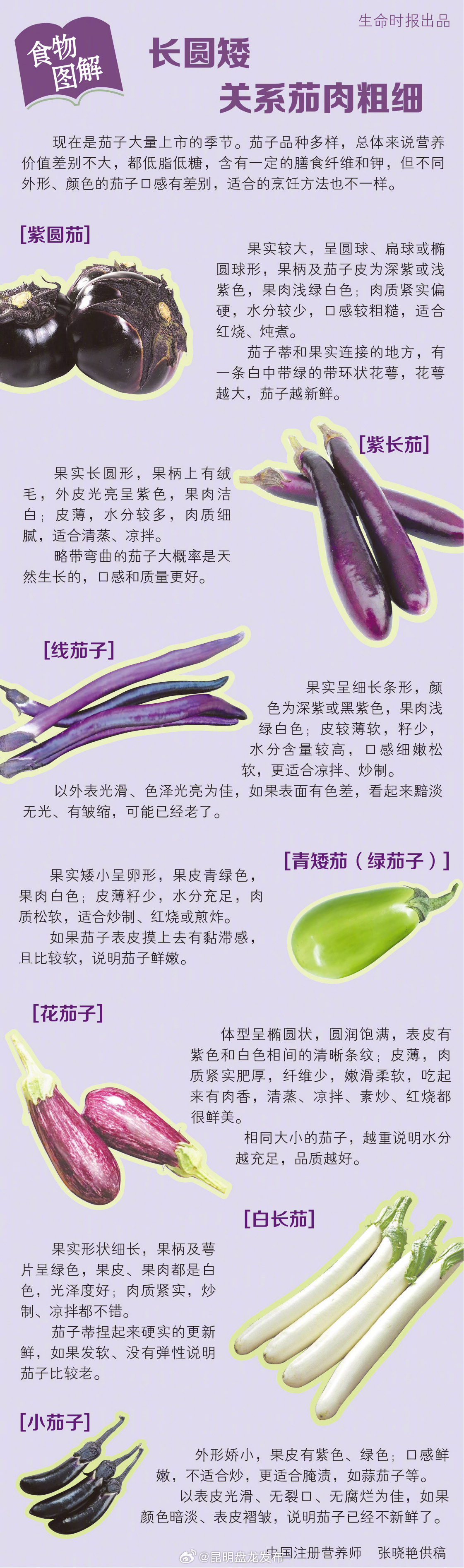 不同品种的茄子各有优势
