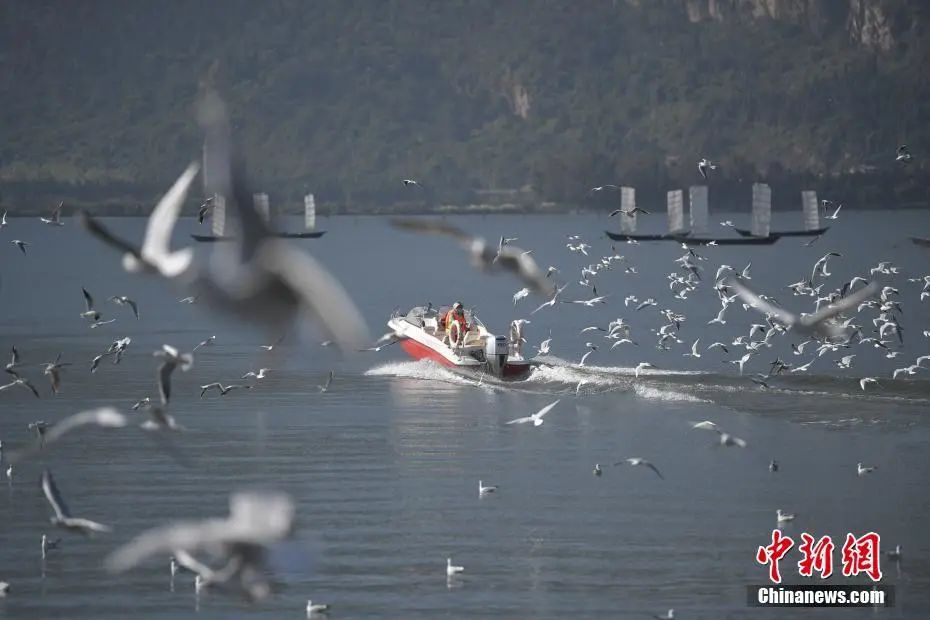 晋宁诗意的栖居地