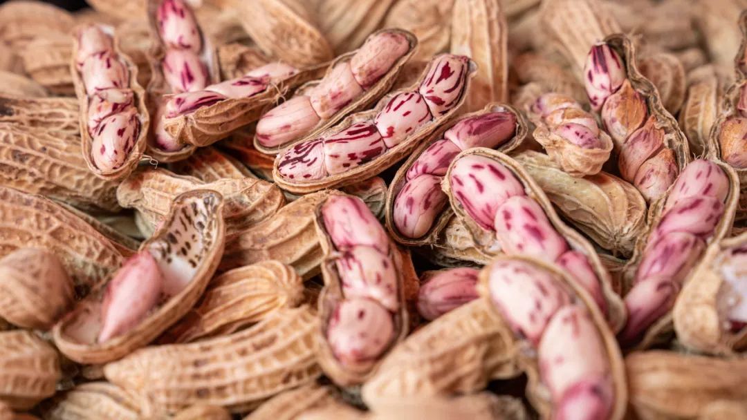 晋宁诗意的栖居地