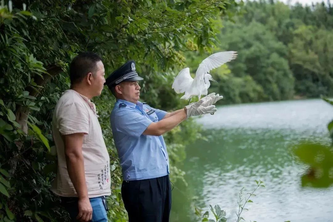 云南政法