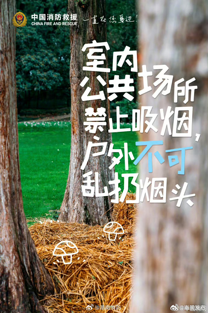 嵩明发布