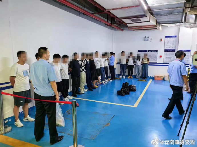 抓获200余人挽损800余万元 