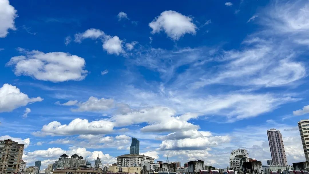 昆明信息港/cnkmxxg