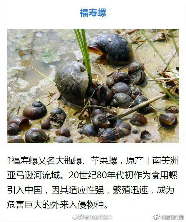 昆明五华发布