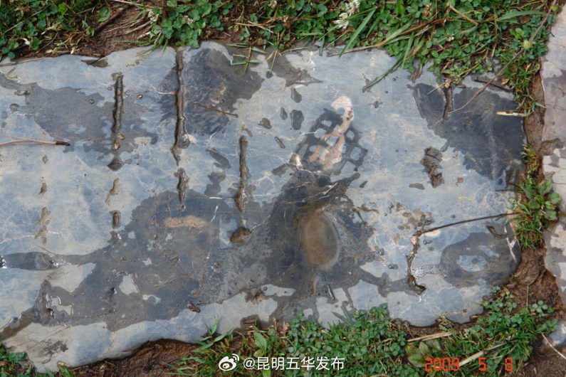 昆明五华发布