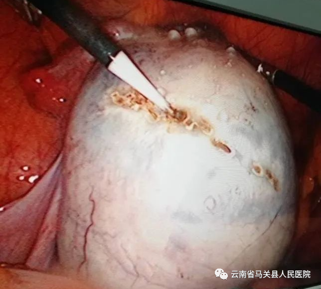 云南省马关县人民医院