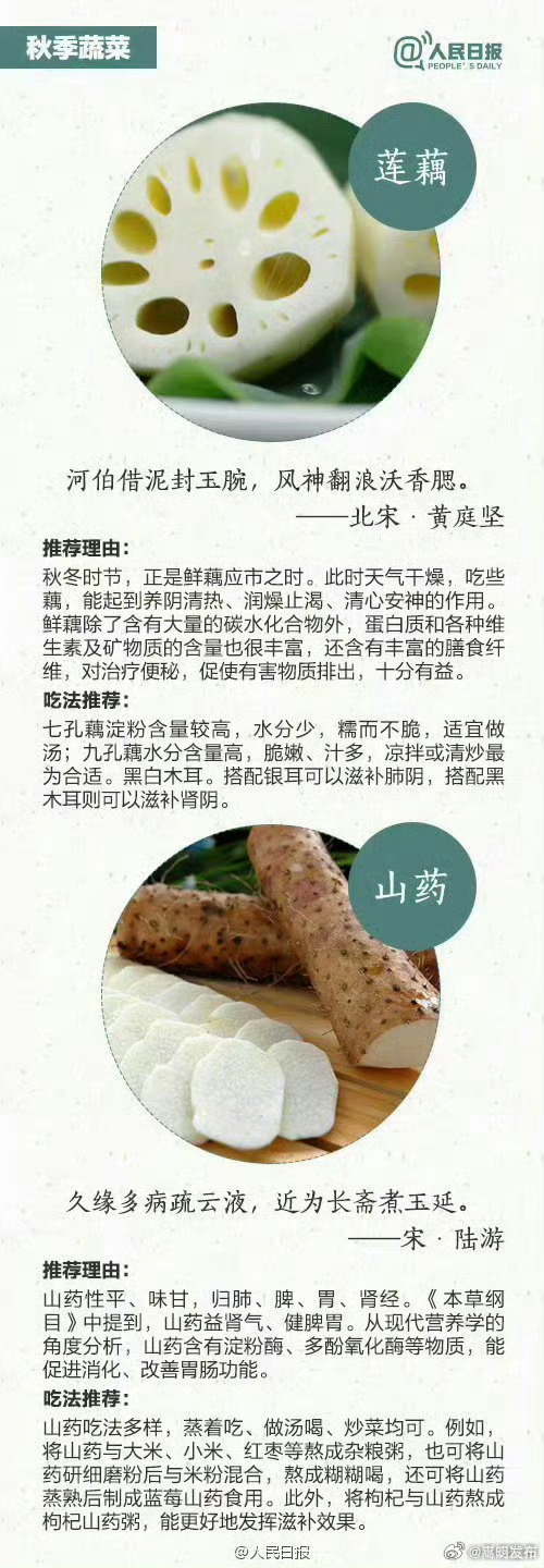 嵩明发布