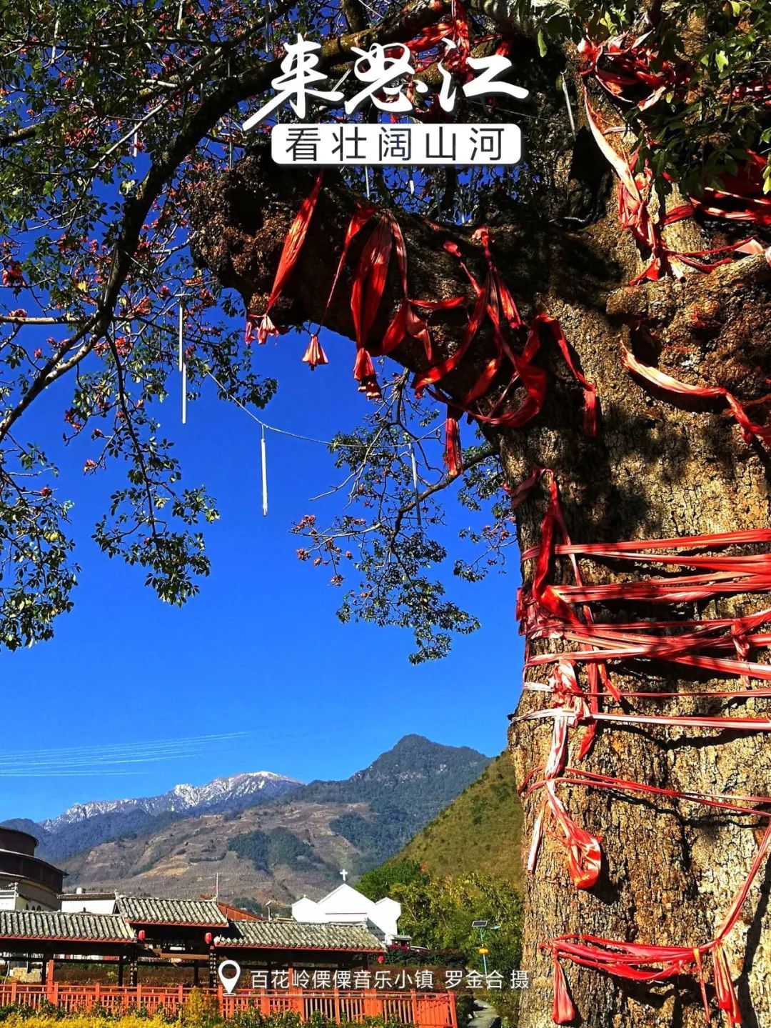 云南省文化和旅游厅