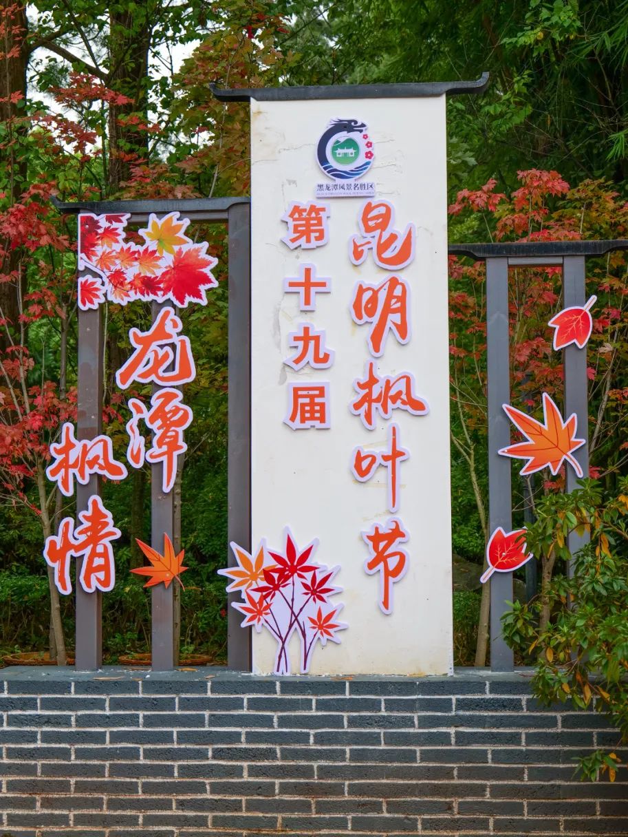 微观盘龙