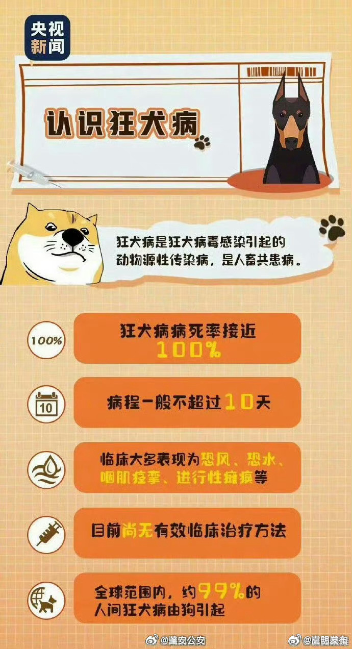 嵩明发布