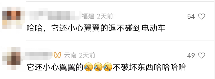 掌上春城微信