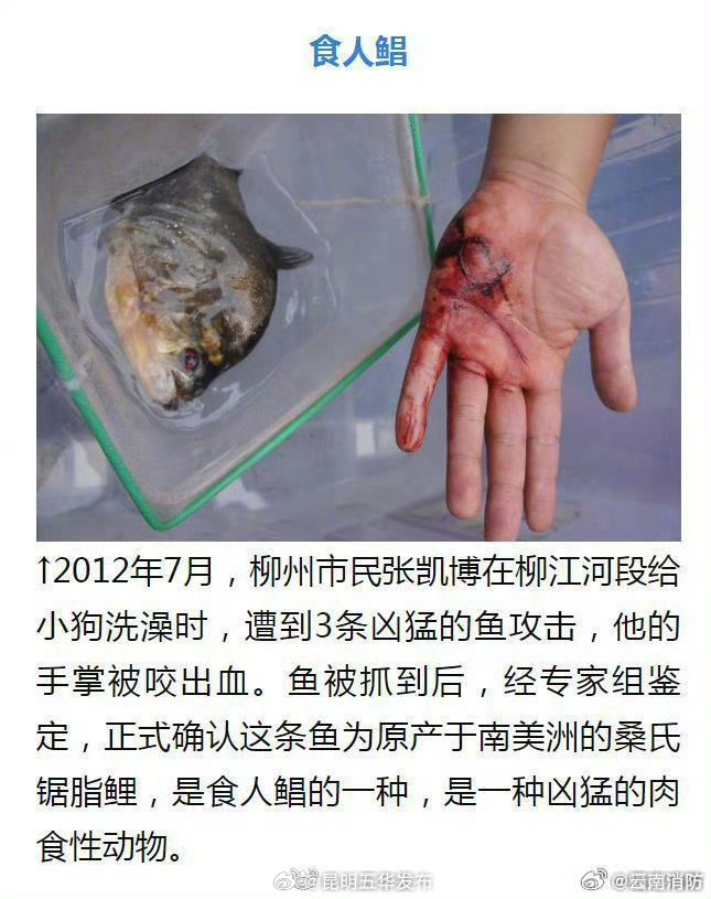 昆明五华发布