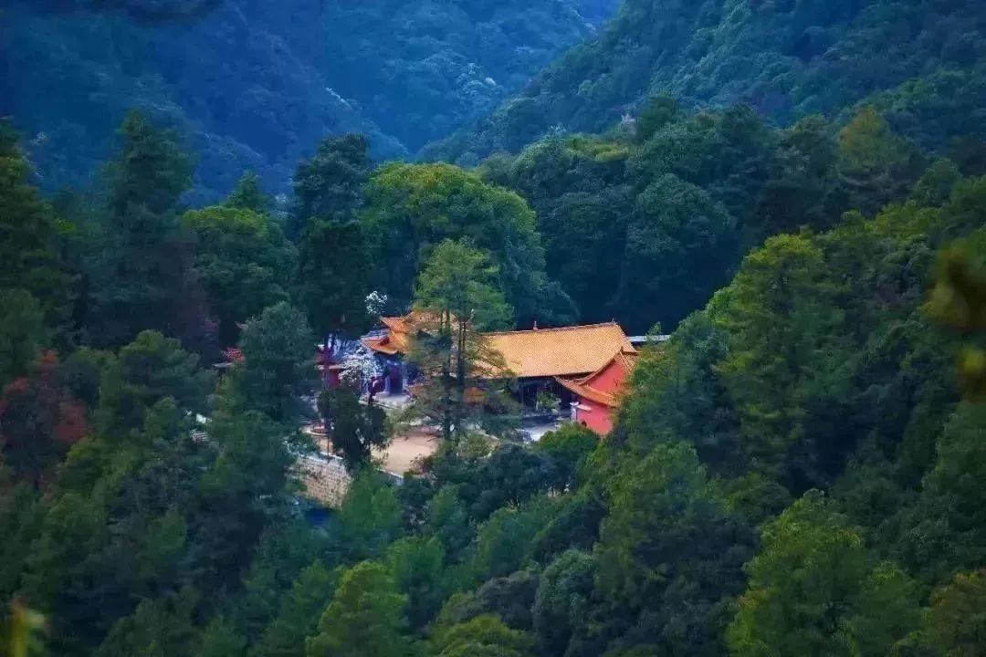 云南省文化和旅游厅