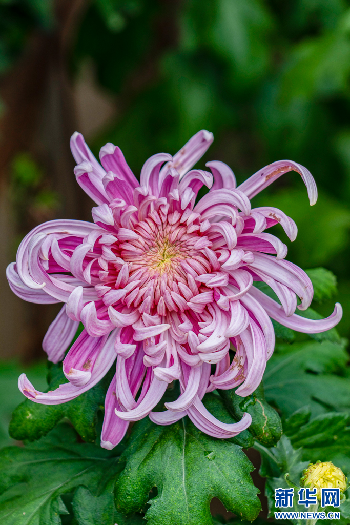 滇池旅游度假区