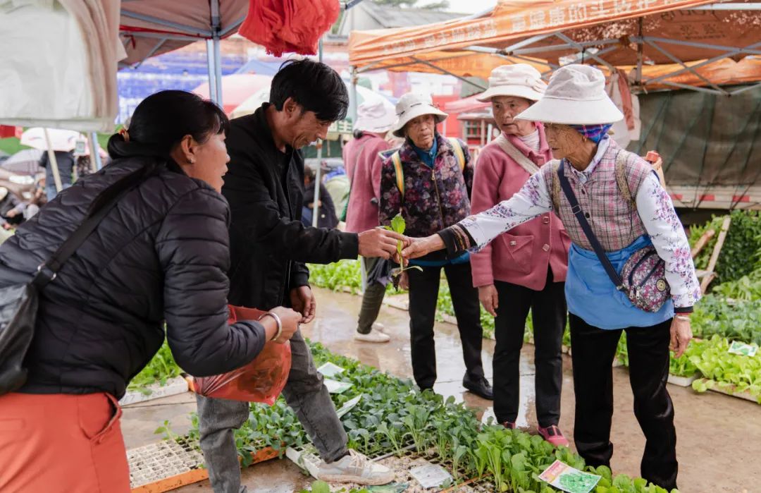 晋宁诗意的栖居地