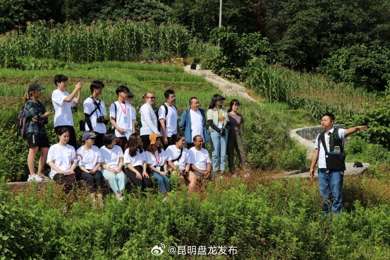 云端策划丨一封来自联合国的回信背后 千年活态遗产呈现蓬勃生机