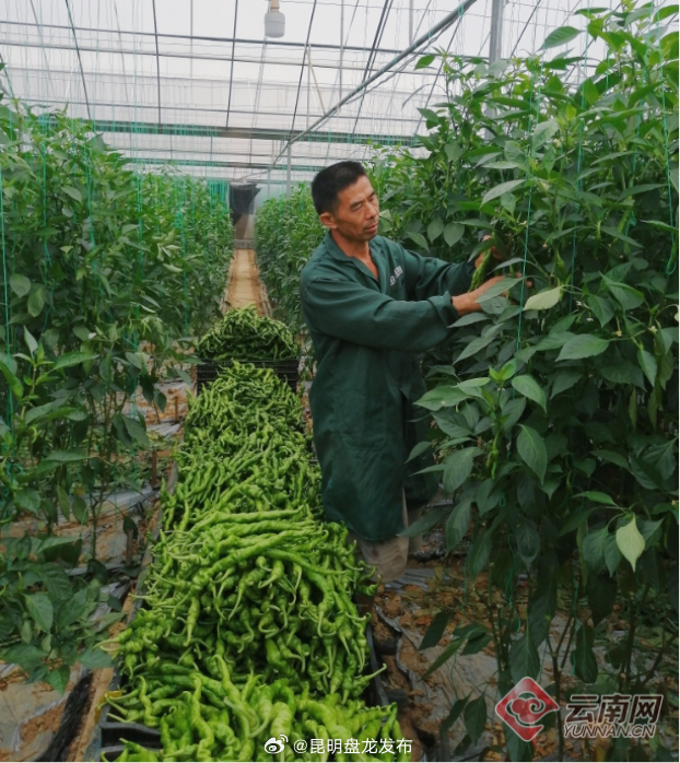 昆明盘龙发布