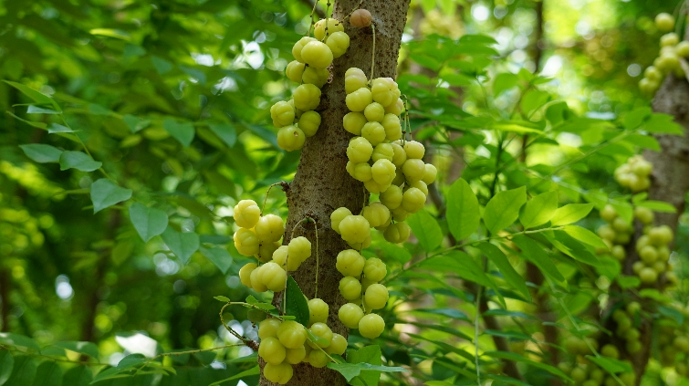 云南省人民政府网