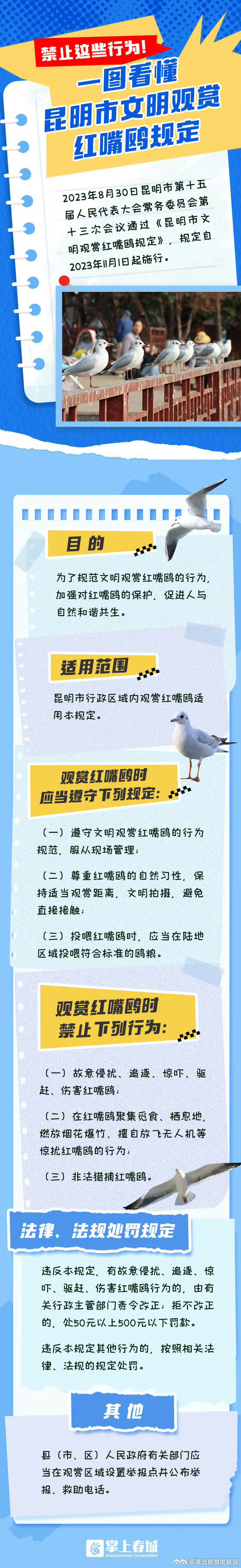 禁止这些行为！ 一图看懂昆明市文明观赏红嘴鸥规定