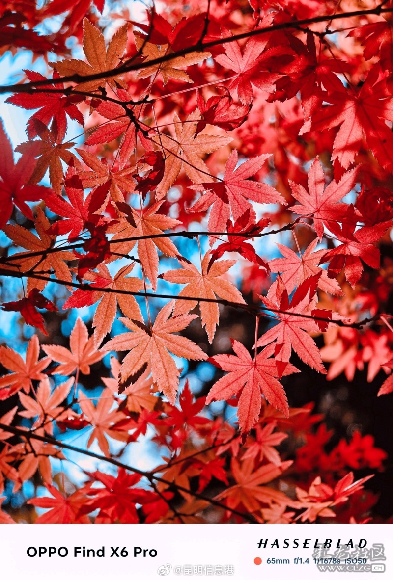 昆明信息港微博