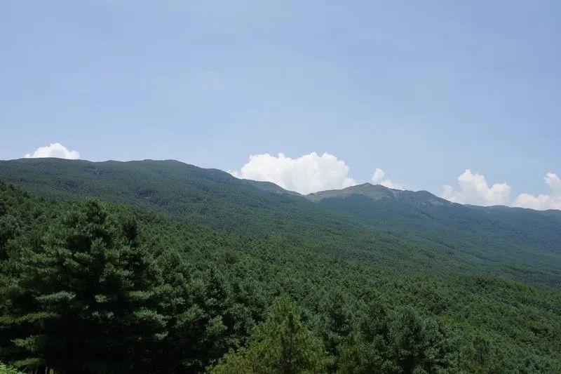 云南省人民政府网