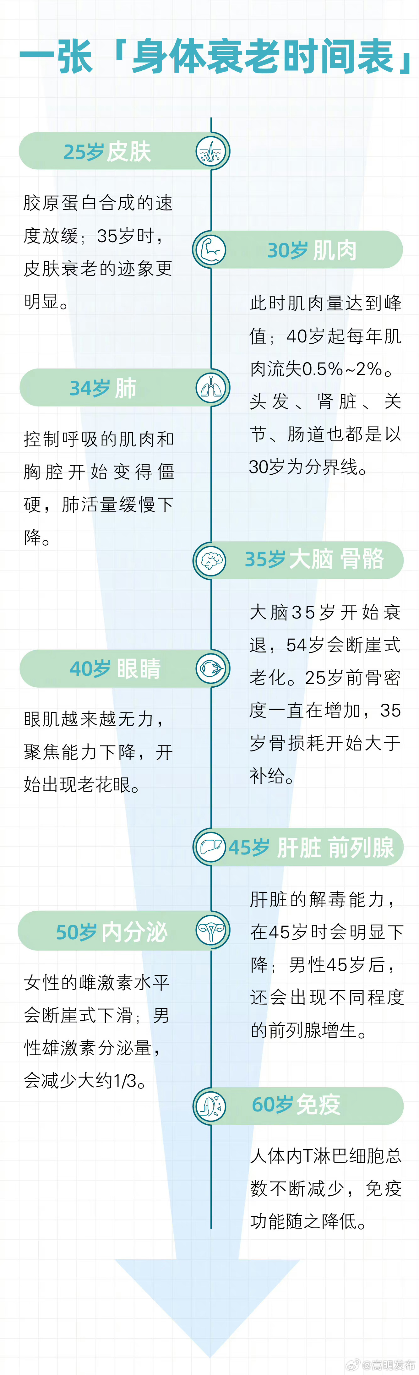 嵩明发布