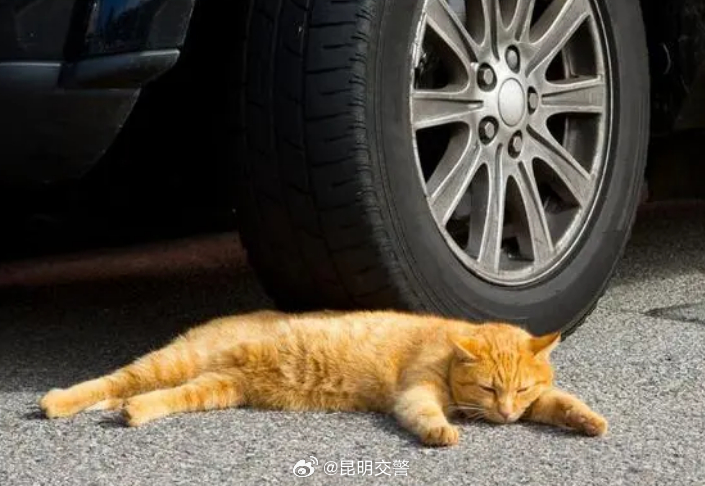昆明交警
