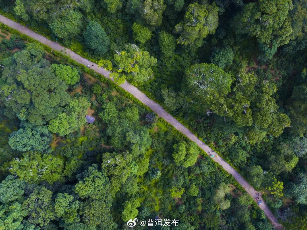 普洱发布