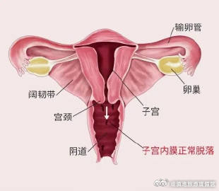 滇池旅游度假区