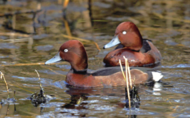 云南广播电视台微信