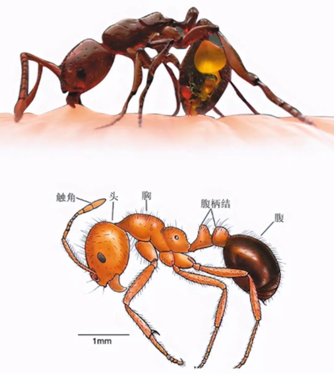 晋宁诗意的栖居地