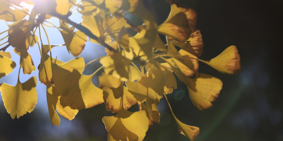 昆明信息港/cnkmxxg