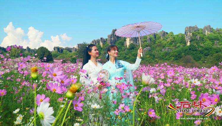 石林旅游网