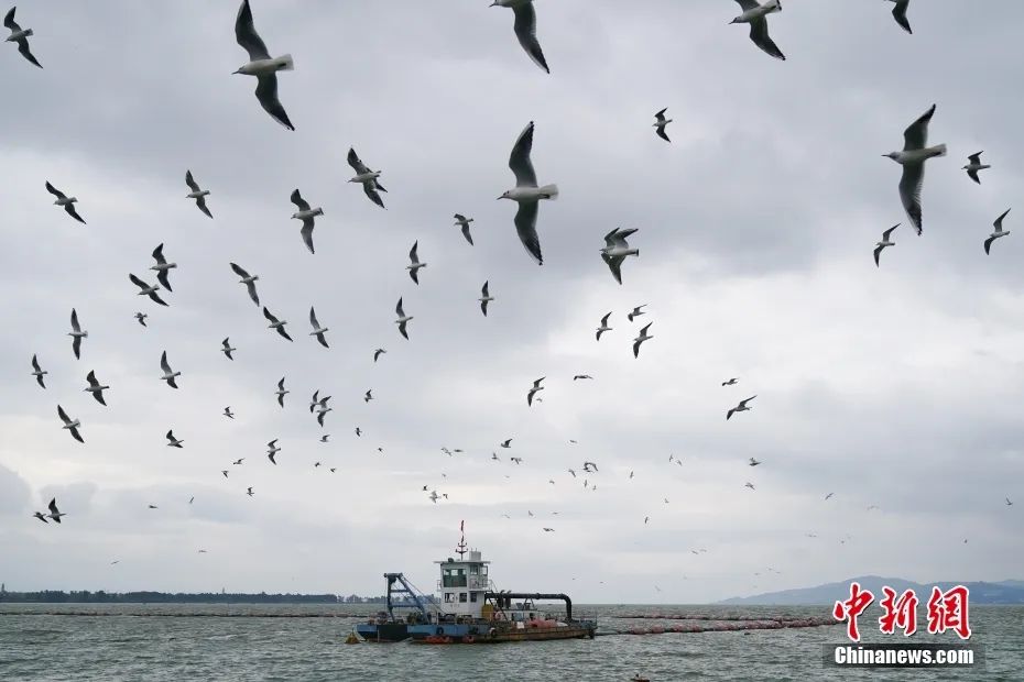晋宁诗意的栖居地